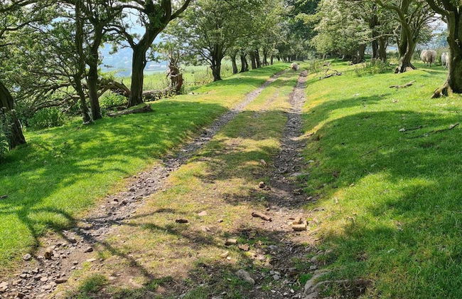Lovely 2-bed Cottage in Coalbrookdale Telford - Photo 20