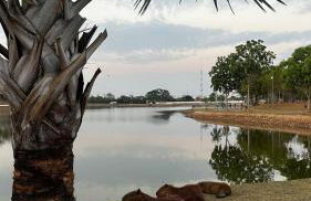 Apartamento completo ao lado do Parque das Águas - Foto 21