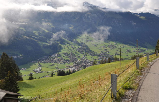 Sumpfbödeli - Foto 4