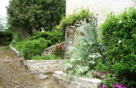 Songbird Sanctuary - Foto 20