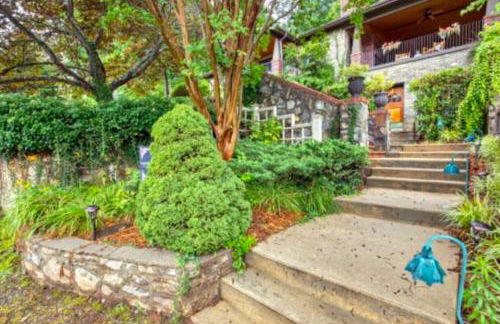 English Roses - Foto 1