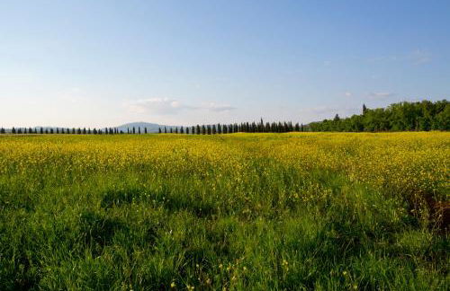 Casale San Galgano - Foto 44