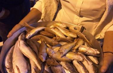 Spiti Galini, "Haus der Zufriedenheit" - Foto 58