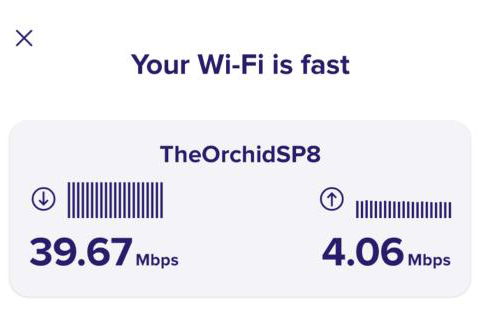 The Orchid - Foto 13