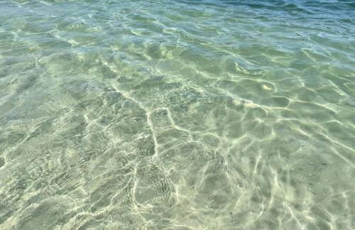 Golfers Paradise 4-hole PUTT-PUTT, Mega Chess with huge backyard, hammock - Photo 50