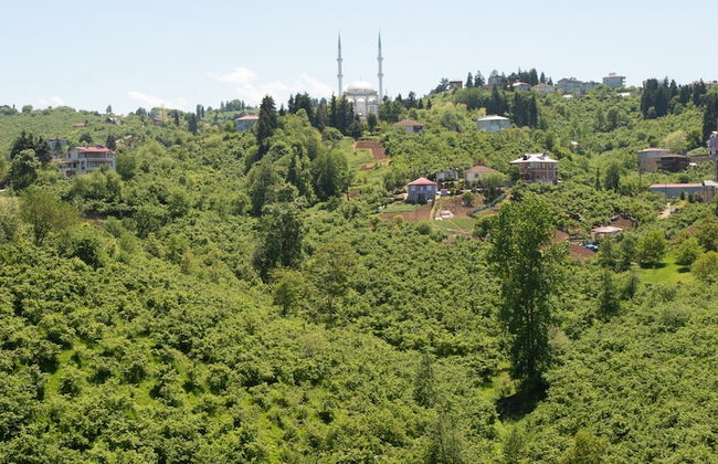 Al Jannah Residence - Cennet Rezidans - Foto 23