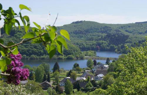 Ferienwohnung EIFEL-FLAIR geräumig-stilvoll-ruhige Lage am Rursee und Nationalpark Eifel - Photo 2