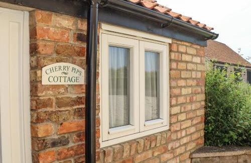 Cherry Pips - Photo 2