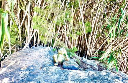 Villa vistas al lago with private pool - Foto 36