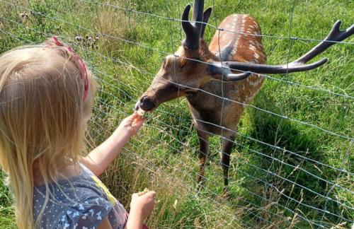 Gutshaus Pinnow - Foto 38