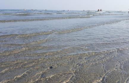 Siviero Apartments - Foto 48