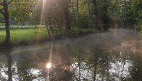 Ferienwohnung Spreewaldglück - Foto 5