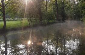 Ferienwohnung Spreewaldglück - Foto 5