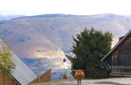 Les Chalets de Mel - Photo 13