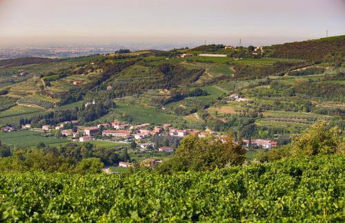 Agriturismo Casa Zen - Foto 27