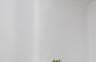 Anestorema House - Foto 6