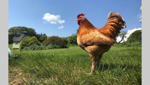 South Barlogan Farm - Photo 1