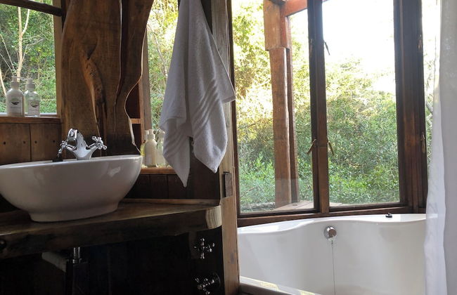 Teniqua Treetops - Foto 54