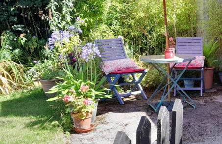 Rosehips at Kerensa, Naburn - Foto 1