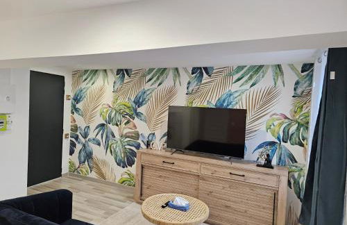 Appartement T2 cosy à 5min à pieds de la gare - Foto 5