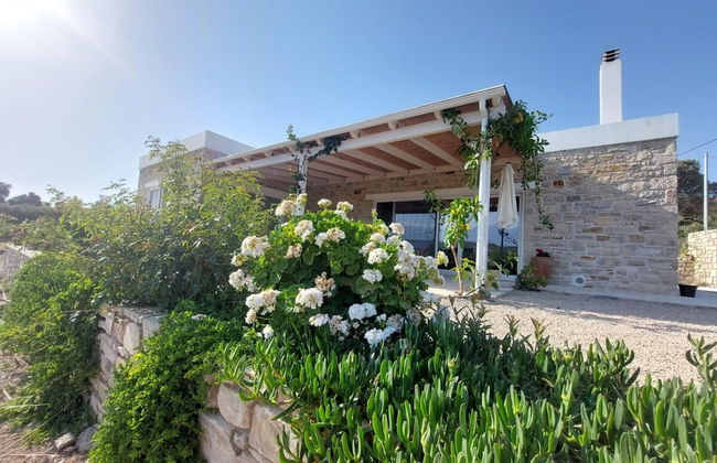 Nature Villa Yasemi Kamilari - Foto 2