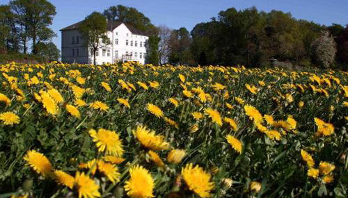 Herrenhaus Blengow App.14 - Foto 5