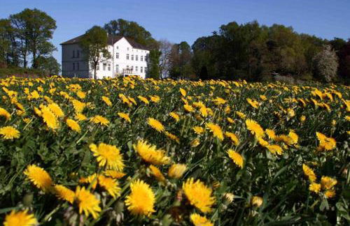 Herrenhaus Blengow App.08 - Foto 14