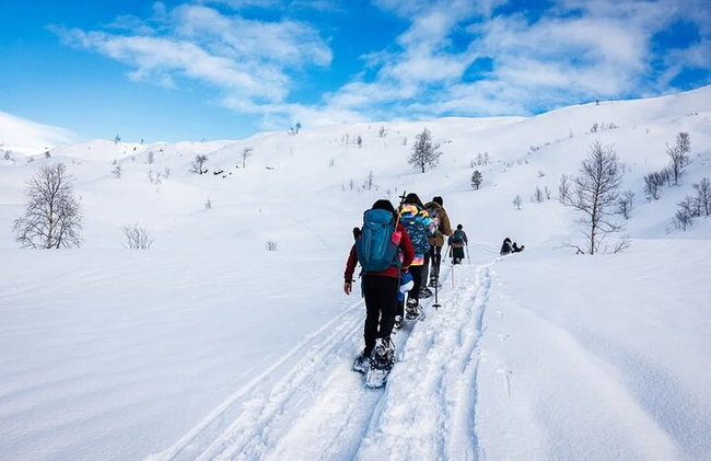 Schneeschuhwandern in Bergen - Öffentliche Tour - Foto 3