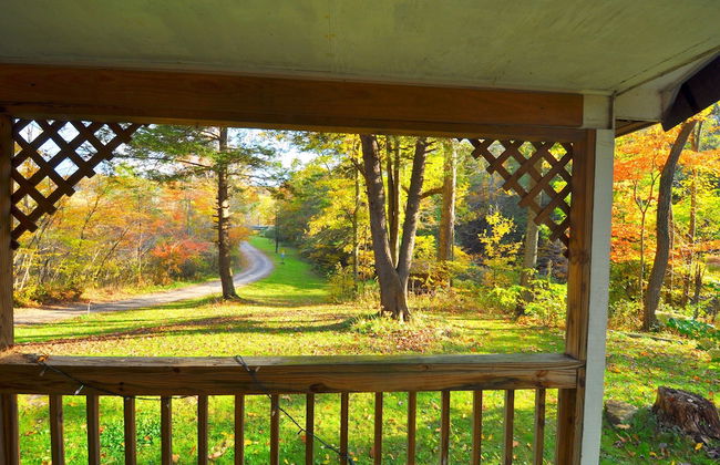 Abrams Creek Center - Photo 42