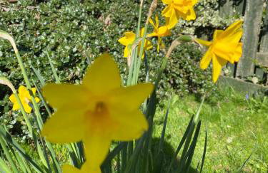 Simla Bungalow, Tetney, Spacious Parking, Private Garden - Foto 2