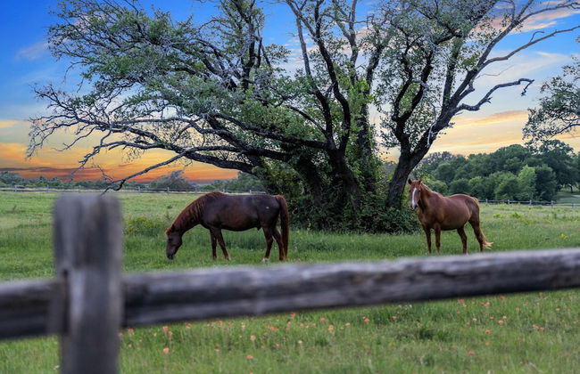 Pecan Grove Container Tiny Home Country Setting 12 min to Baylor Magnolia - Foto 24