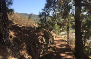 El Mirador - Foto 54