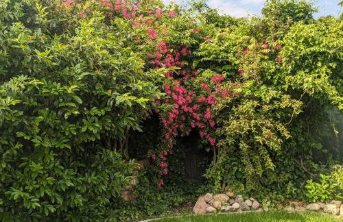 Fewo Seestern - Foto 6