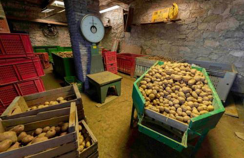 PODERE PRATIZZOLI - Foto 19