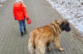 Domek Na pokładzie - Foto 21