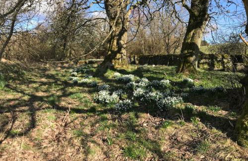 Gorgeous boutique off-grid cottage near Peebles - Foto 42