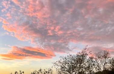 Masía entre viñedos y mar - Foto 50