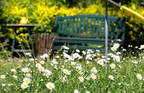 Im grünen Winkel - Foto 20