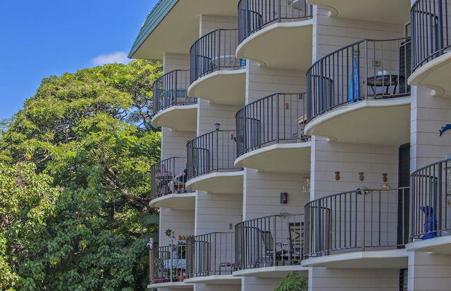 Kahana Reef - Maui Condo & Home - Foto 36