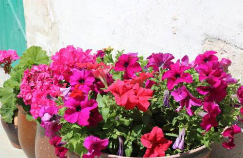 La Virginie - Suite Ile'Ô - Foto 33