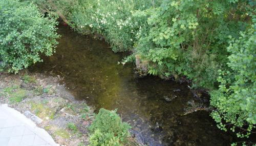 Ferienwohnungen TalBach - Foto 3, Garden view