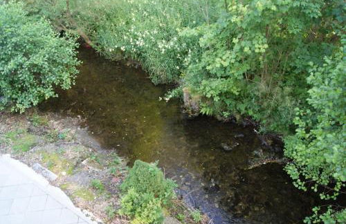 Ferienwohnungen TalBach - Foto 3