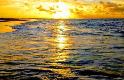 FLECHEIRAS ATLANTICO - Foto 40