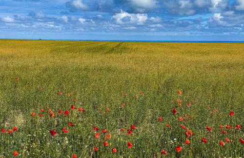 Villa Mathilde - Foto 43