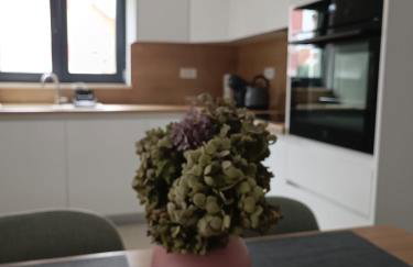 Apartment Oaza with free parking - Foto 22