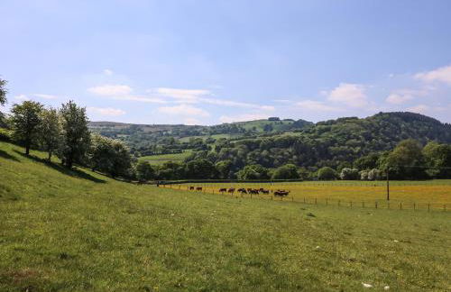 Pen Y Maes - Foto 20