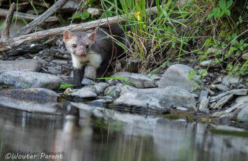 Haus Schönblick - Foto 37