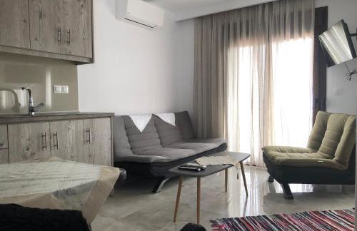 Theano Studios - Foto 14