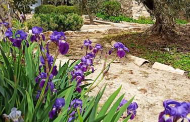 Villa Cuatro Encinas, Iznájar - Foto 25