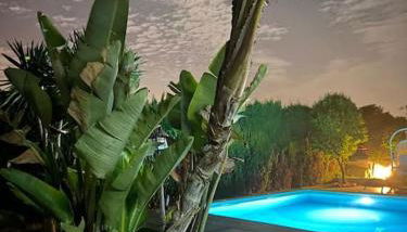 Espectacular villa close to Sevilla - Sevillarooms - Foto 4, Garden, Garden view